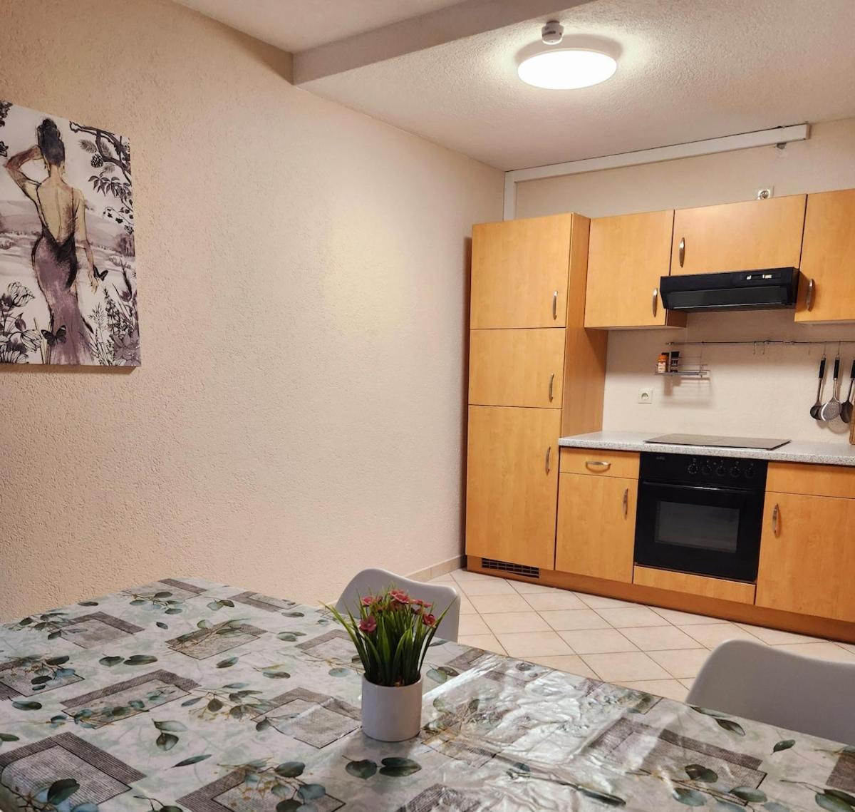 Sj Apartment Хемниц Экстерьер фото